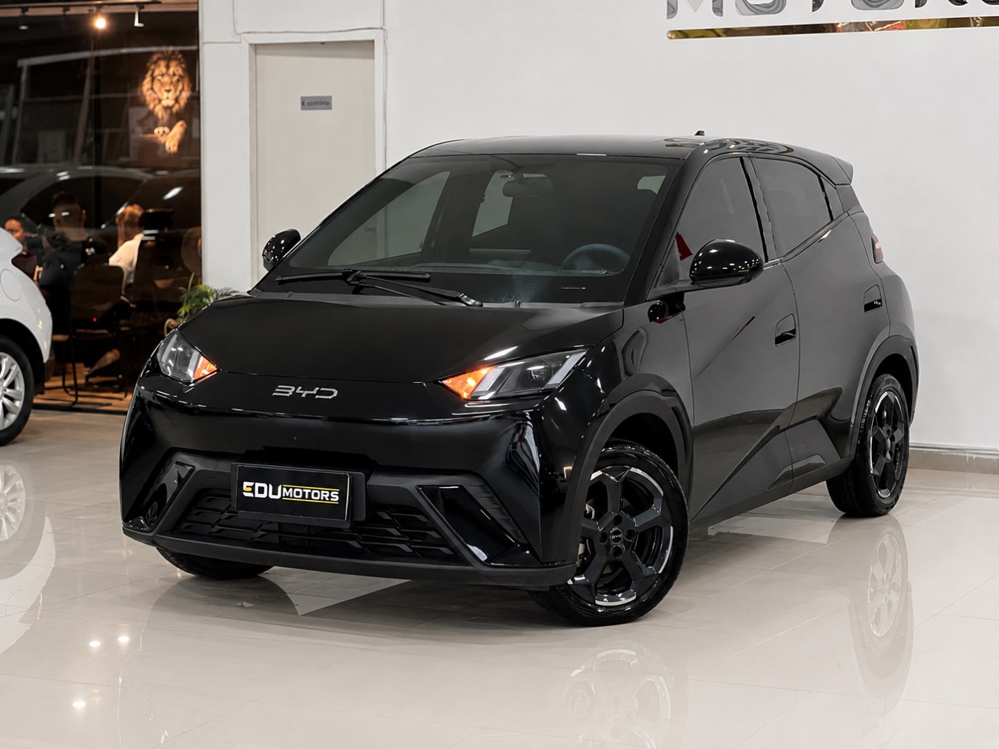 BYD DOLPHIN MINI