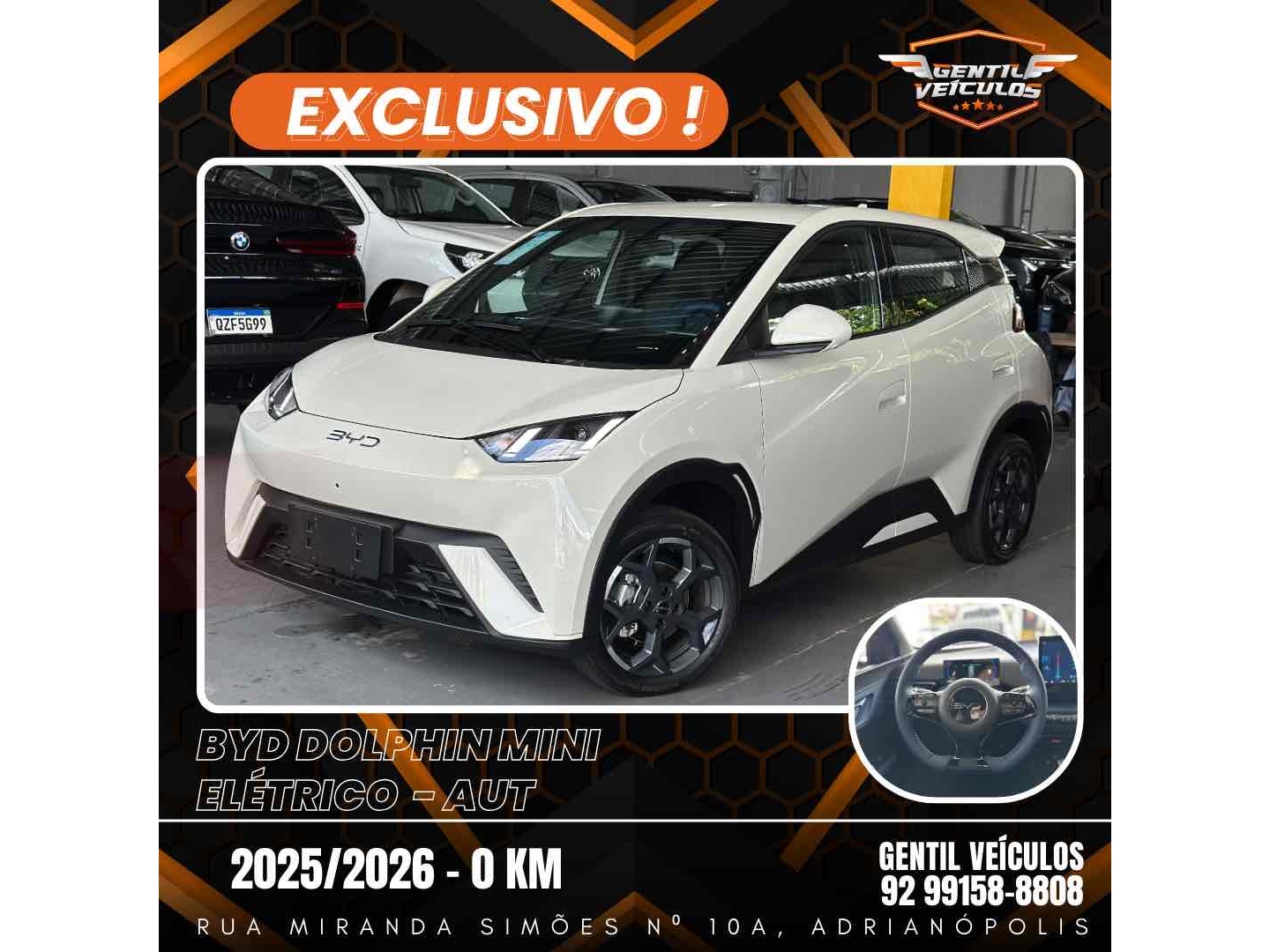 BYD DOLPHIN MINI 38 KW ELÉTRICO GS