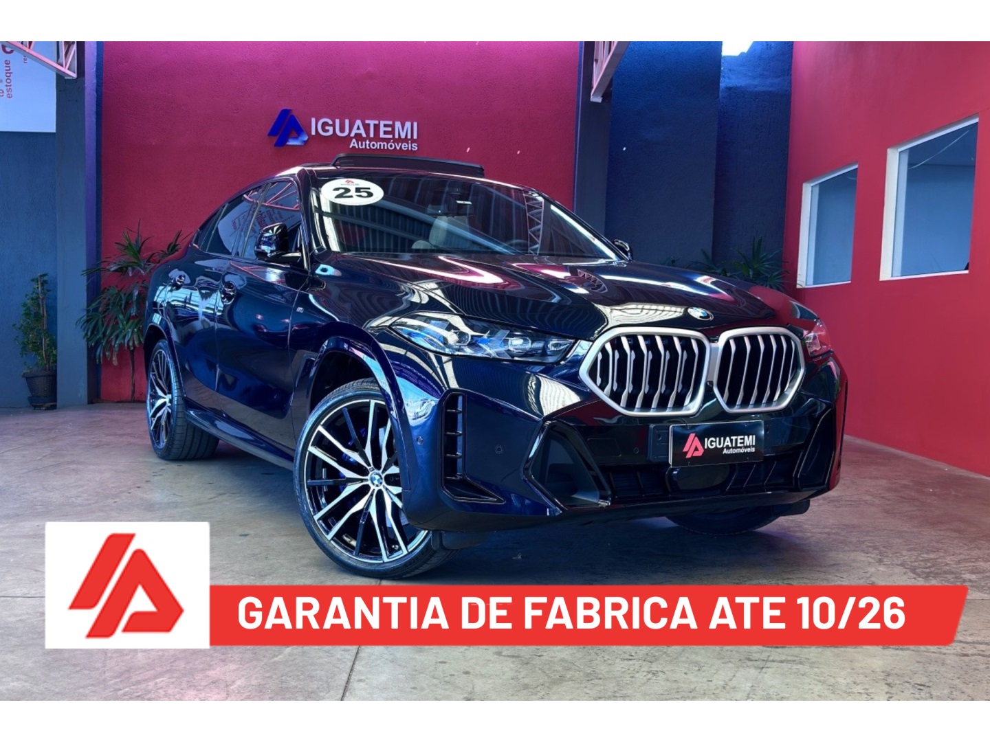 BMW X6