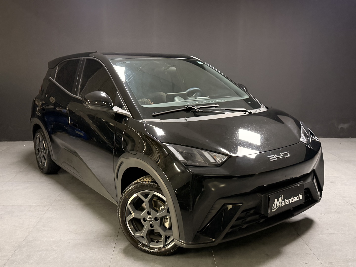 BYD DOLPHIN MINI