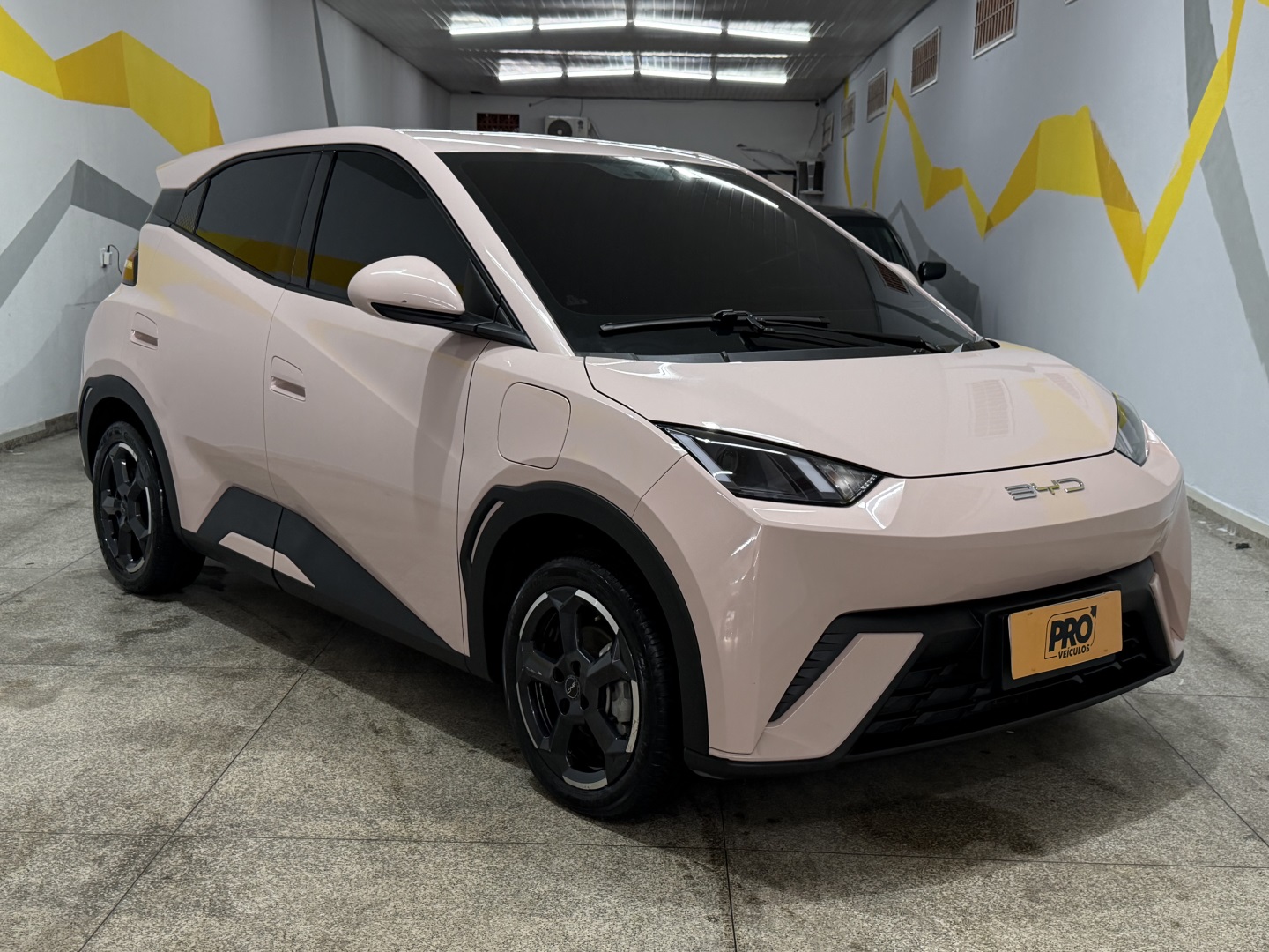 BYD DOLPHIN MINI