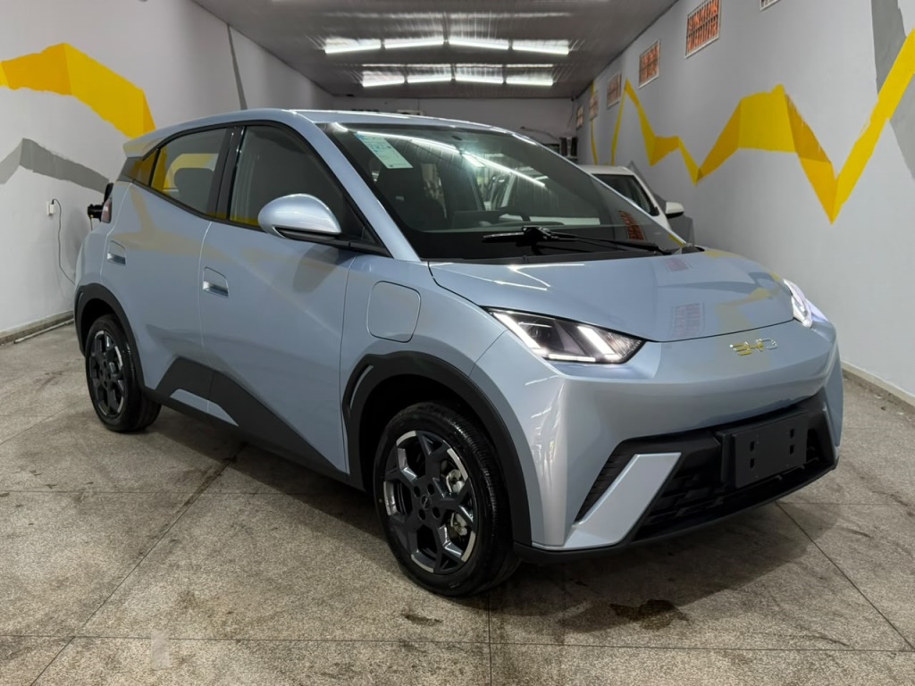 BYD DOLPHIN MINI
