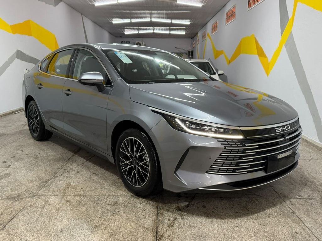 BYD KING