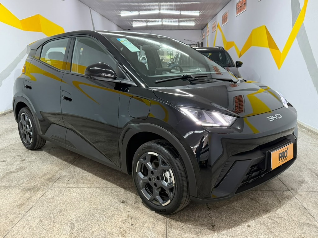 BYD DOLPHIN MINI