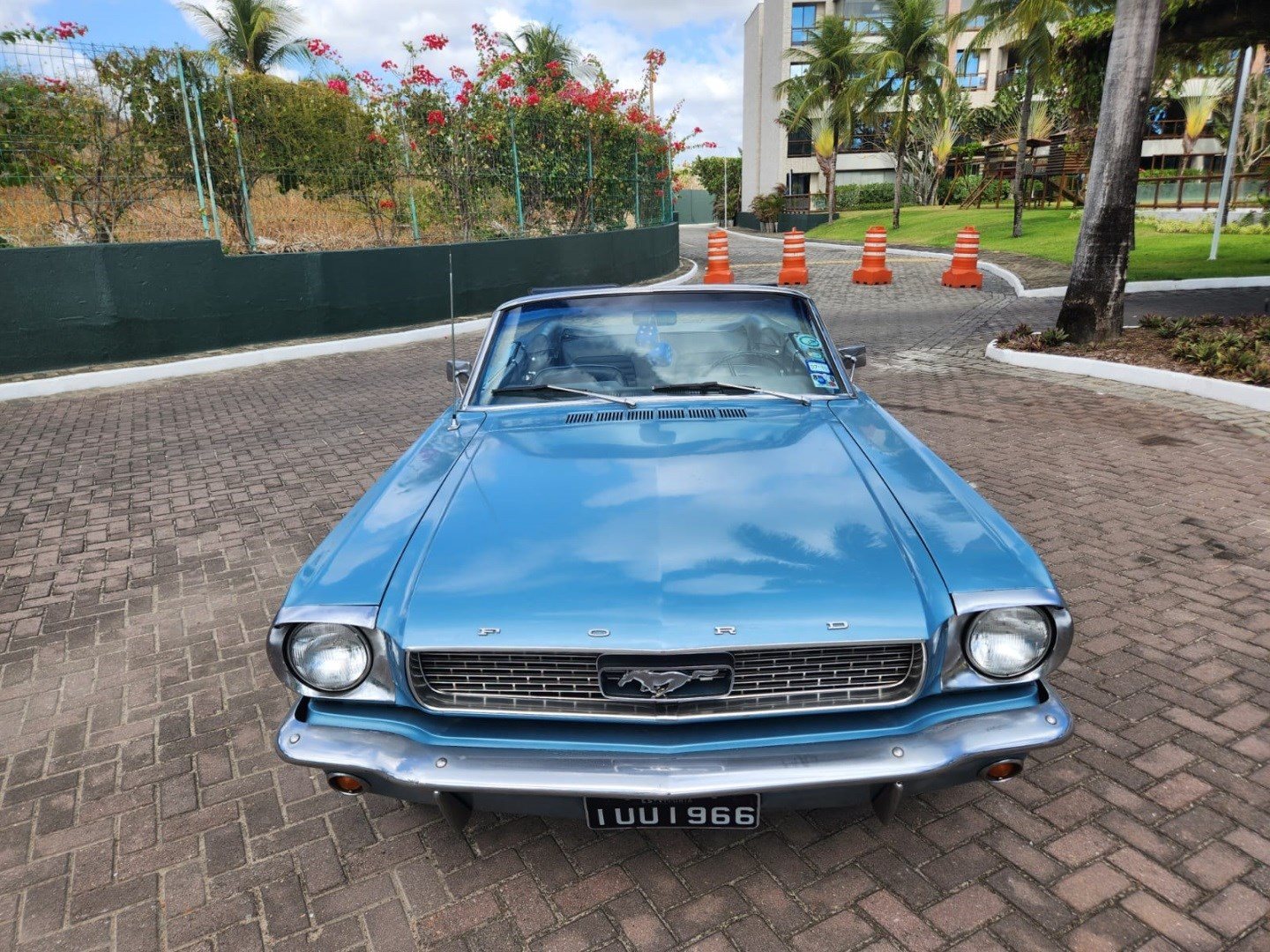 FORD MUSTANG