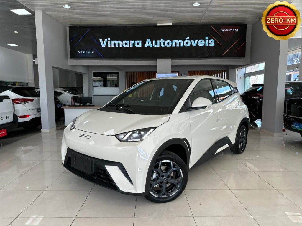 BYD DOLPHIN MINI