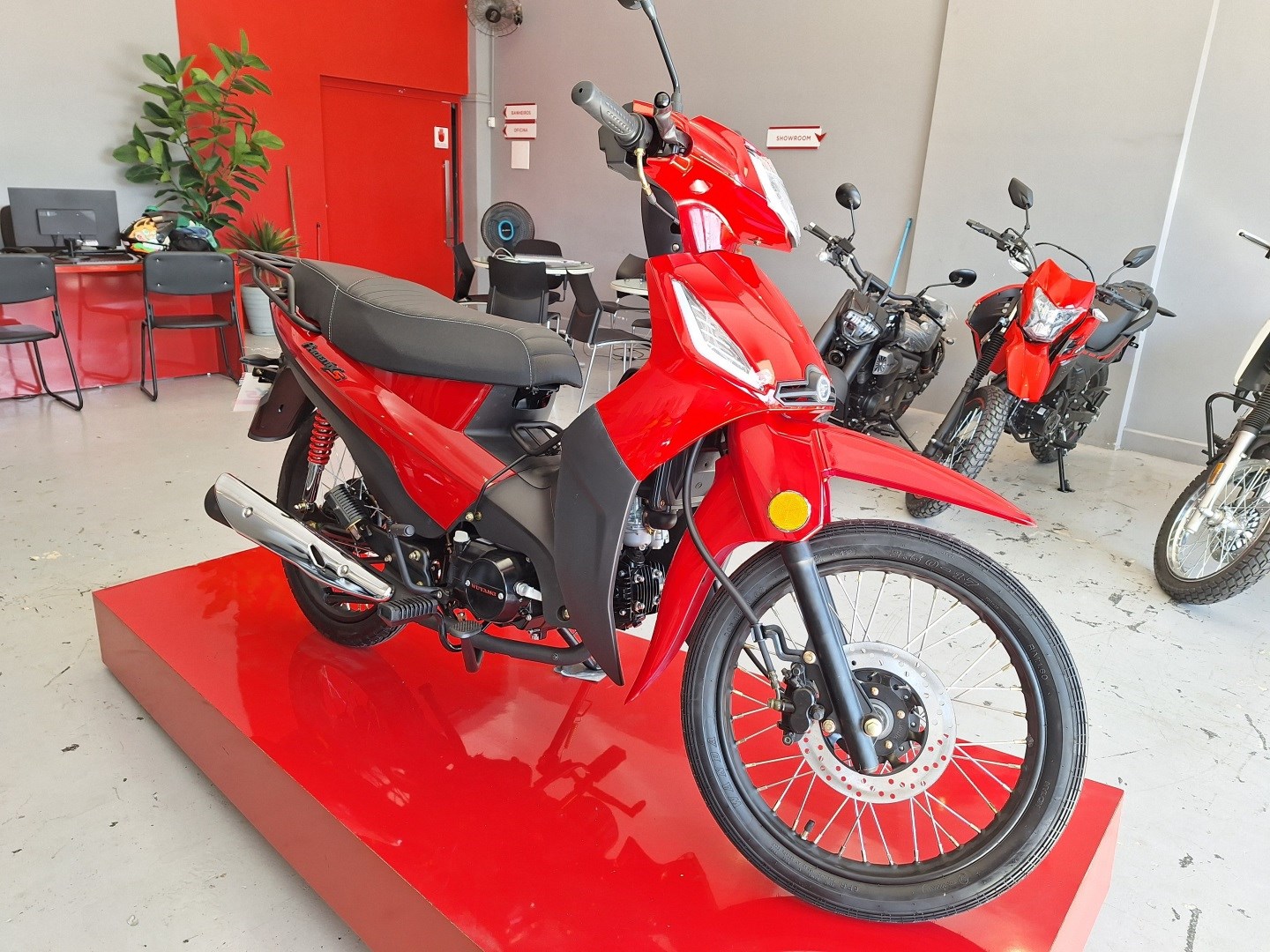 SHINERAY PHOENIX S 50 EFI