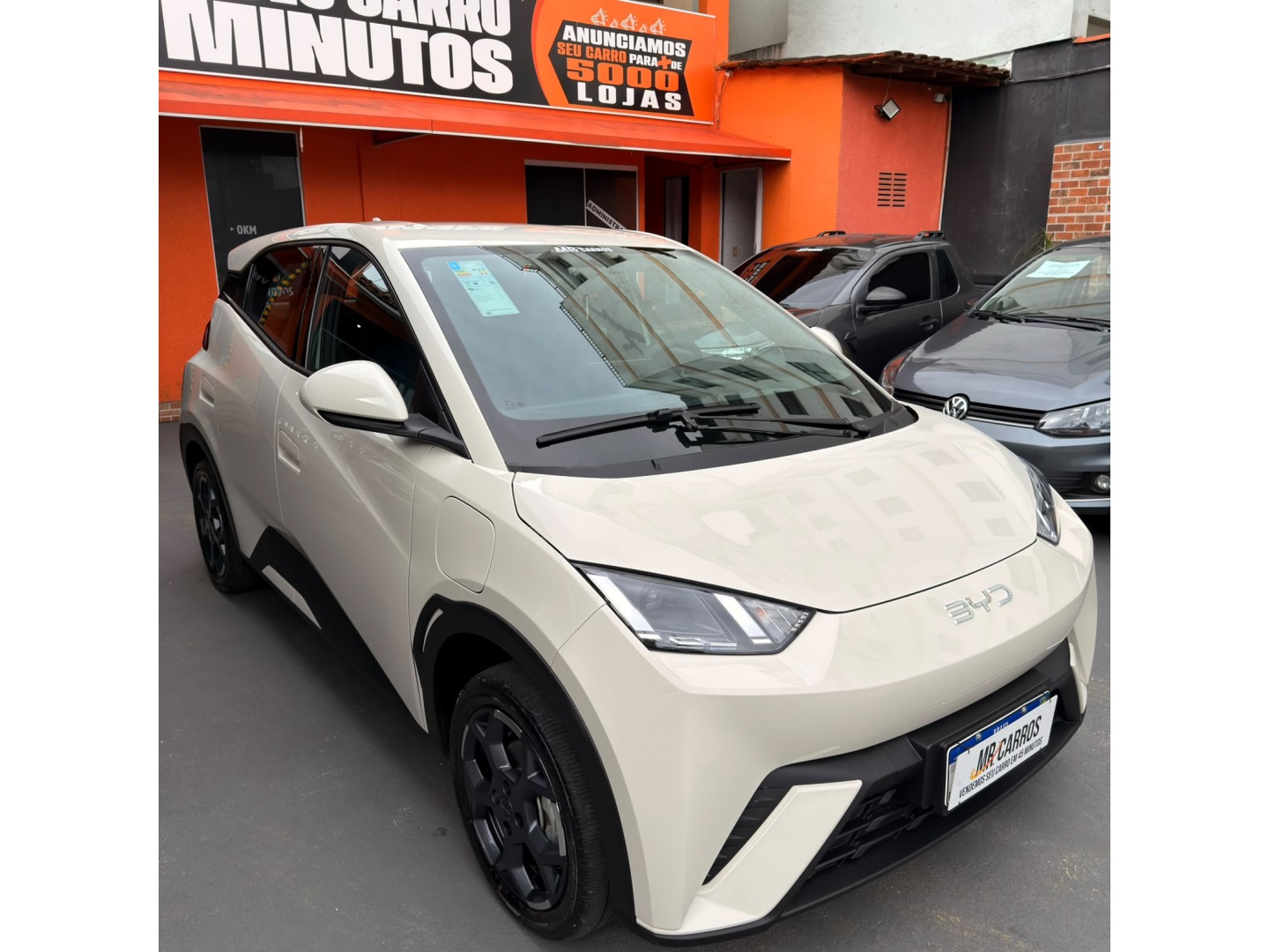 BYD DOLPHIN MINI