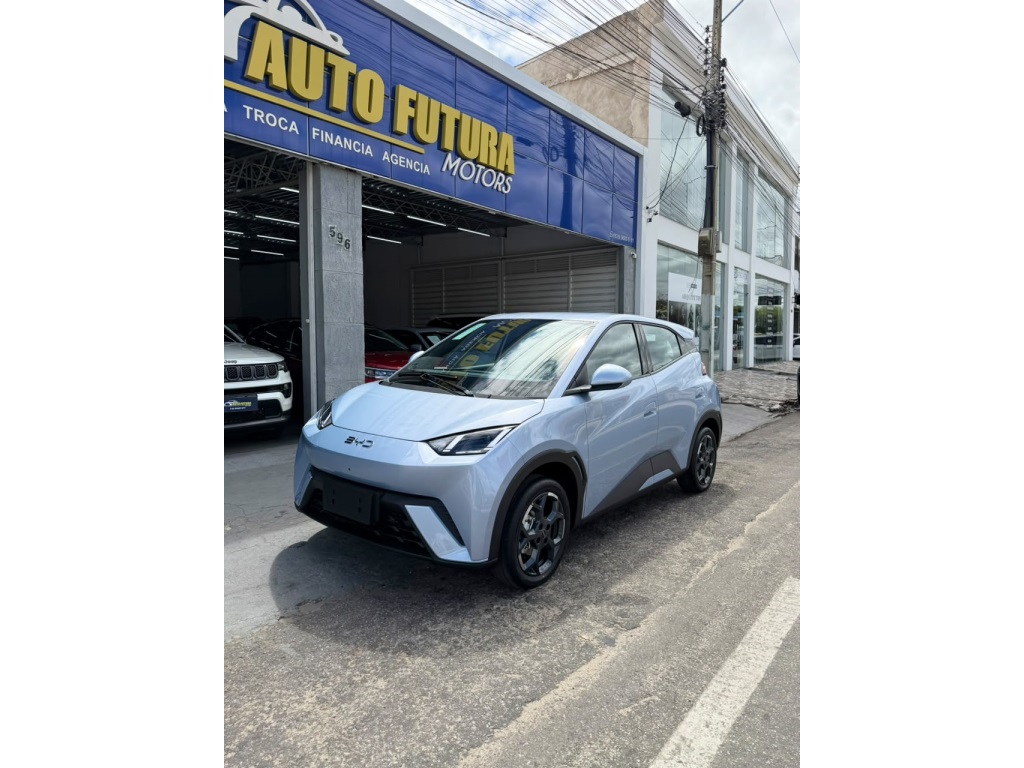 BYD DOLPHIN MINI