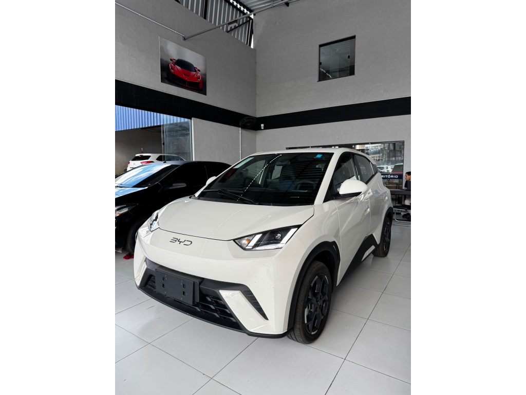 BYD DOLPHIN MINI