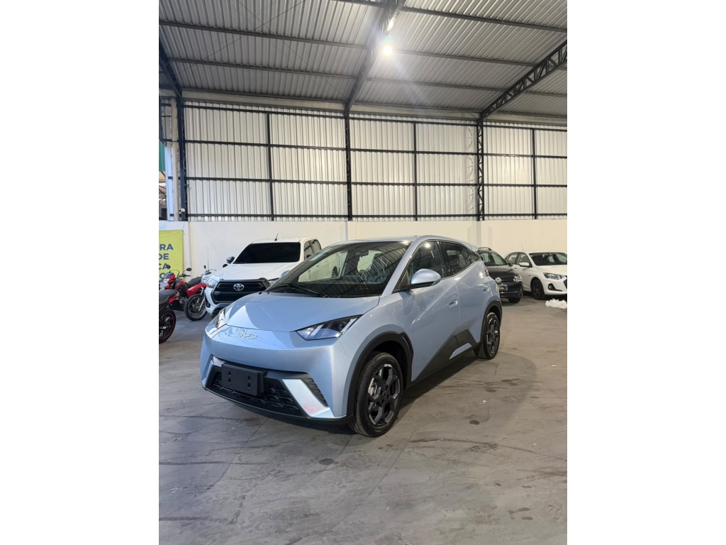 BYD DOLPHIN MINI