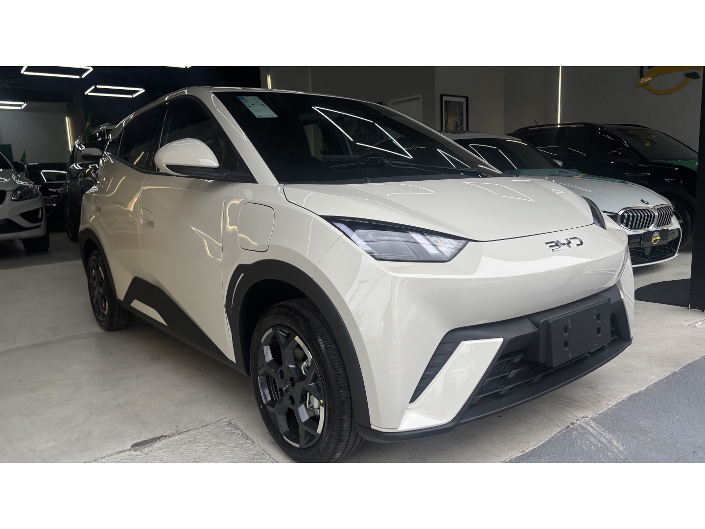 BYD DOLPHIN MINI