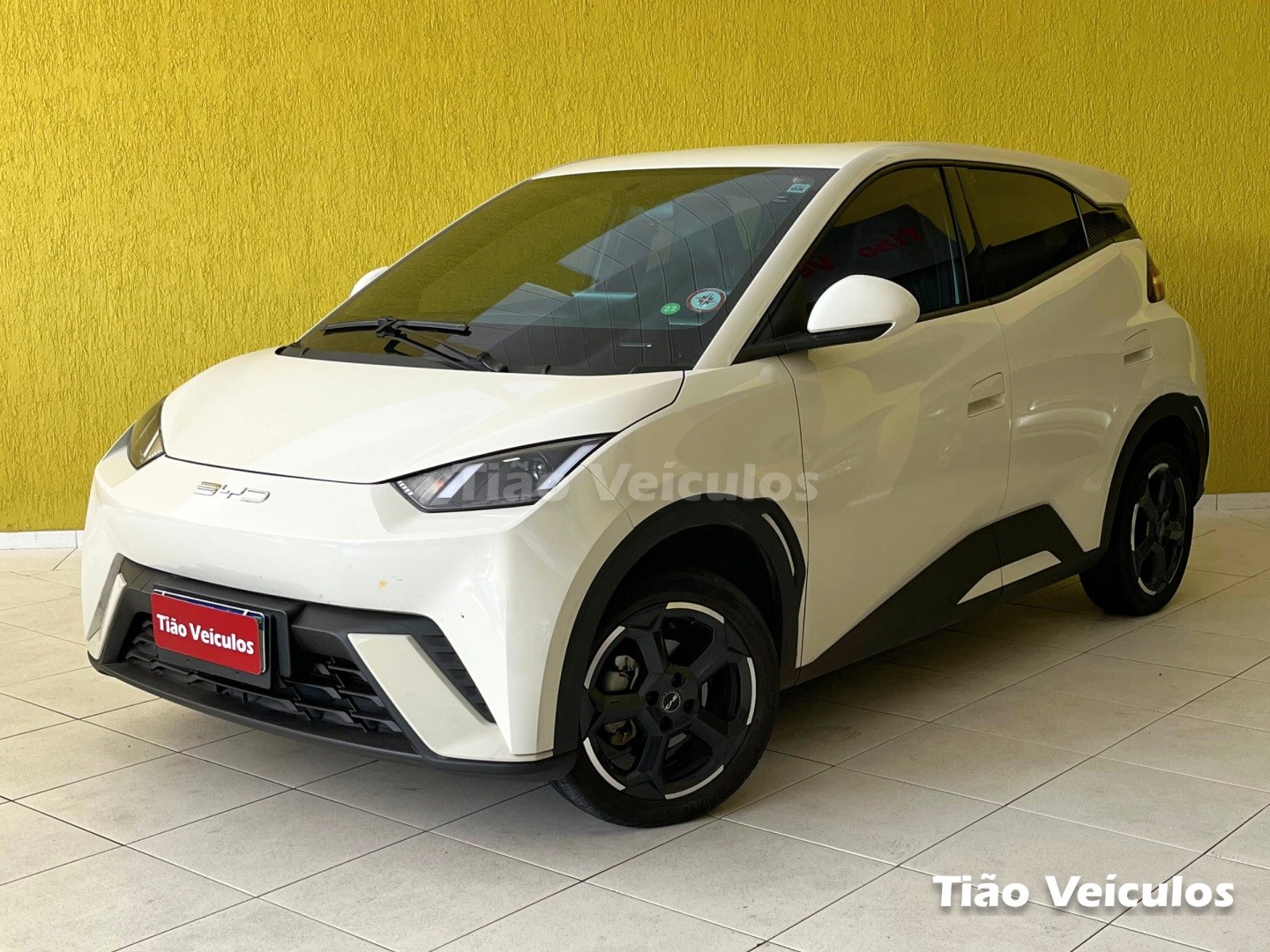 BYD DOLPHIN MINI