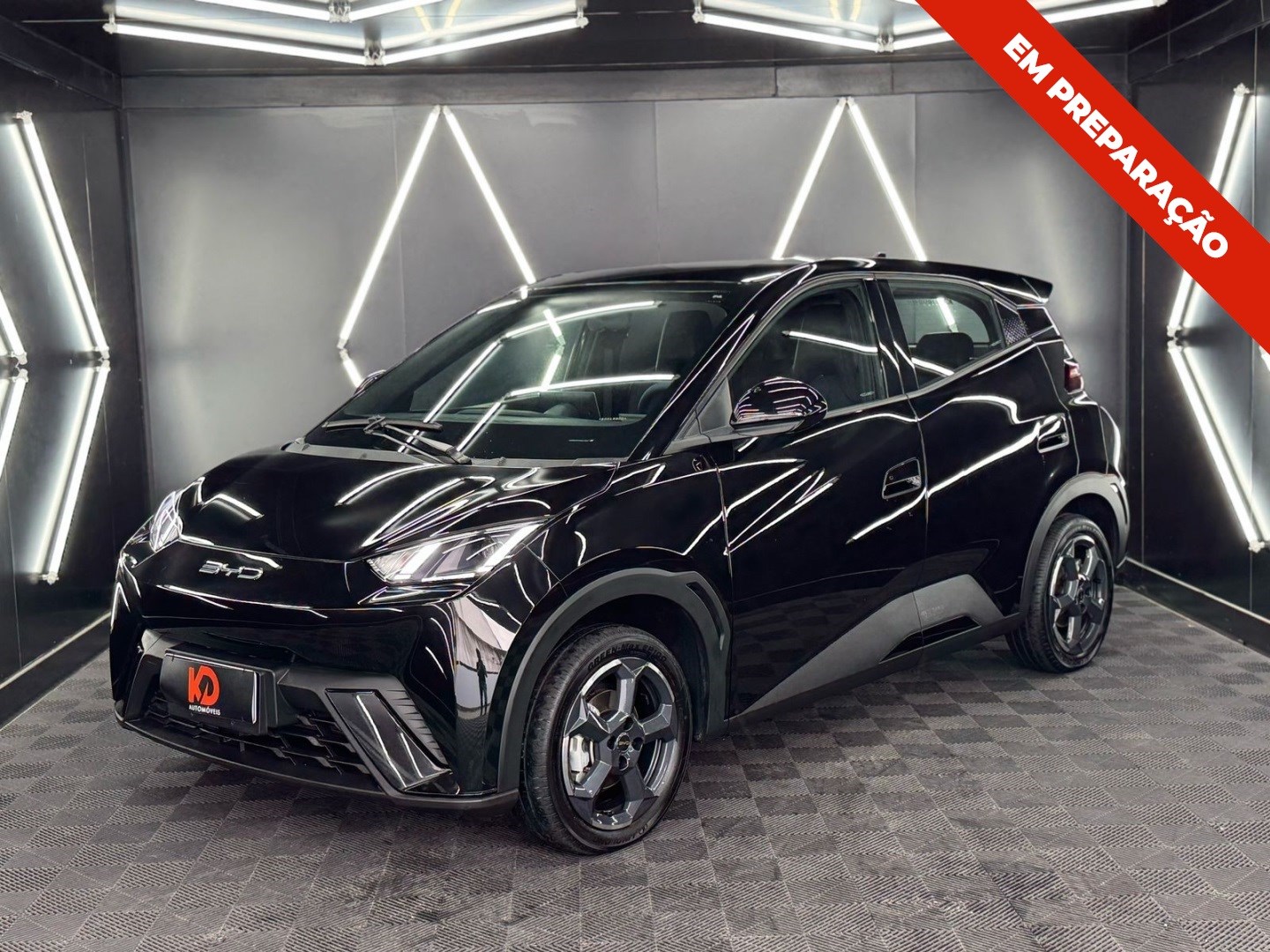 BYD DOLPHIN MINI