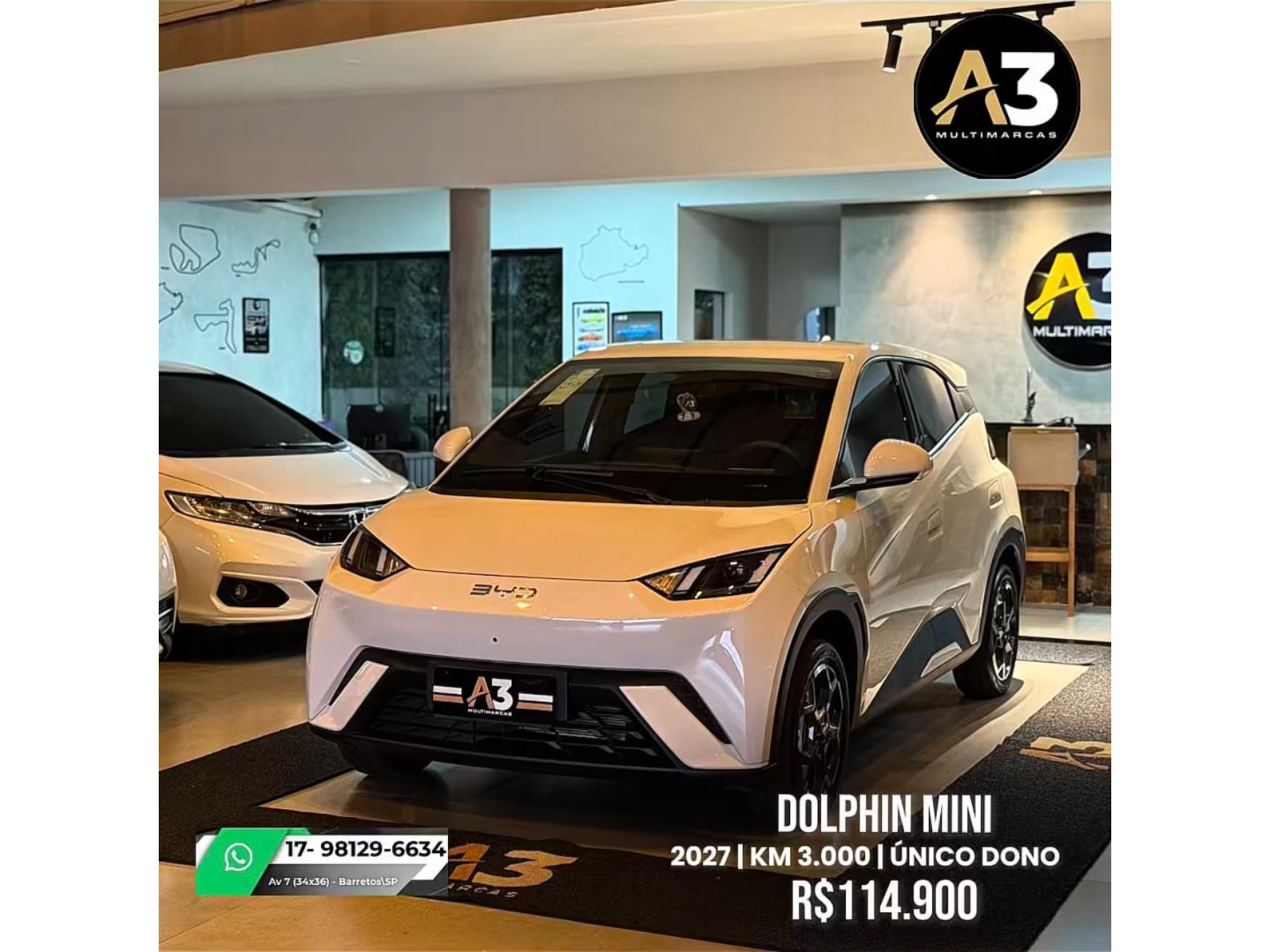 BYD DOLPHIN MINI
