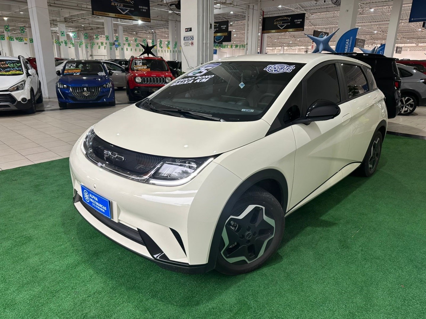 BYD DOLPHIN