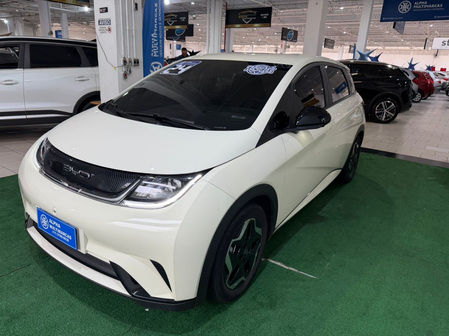BYD DOLPHIN