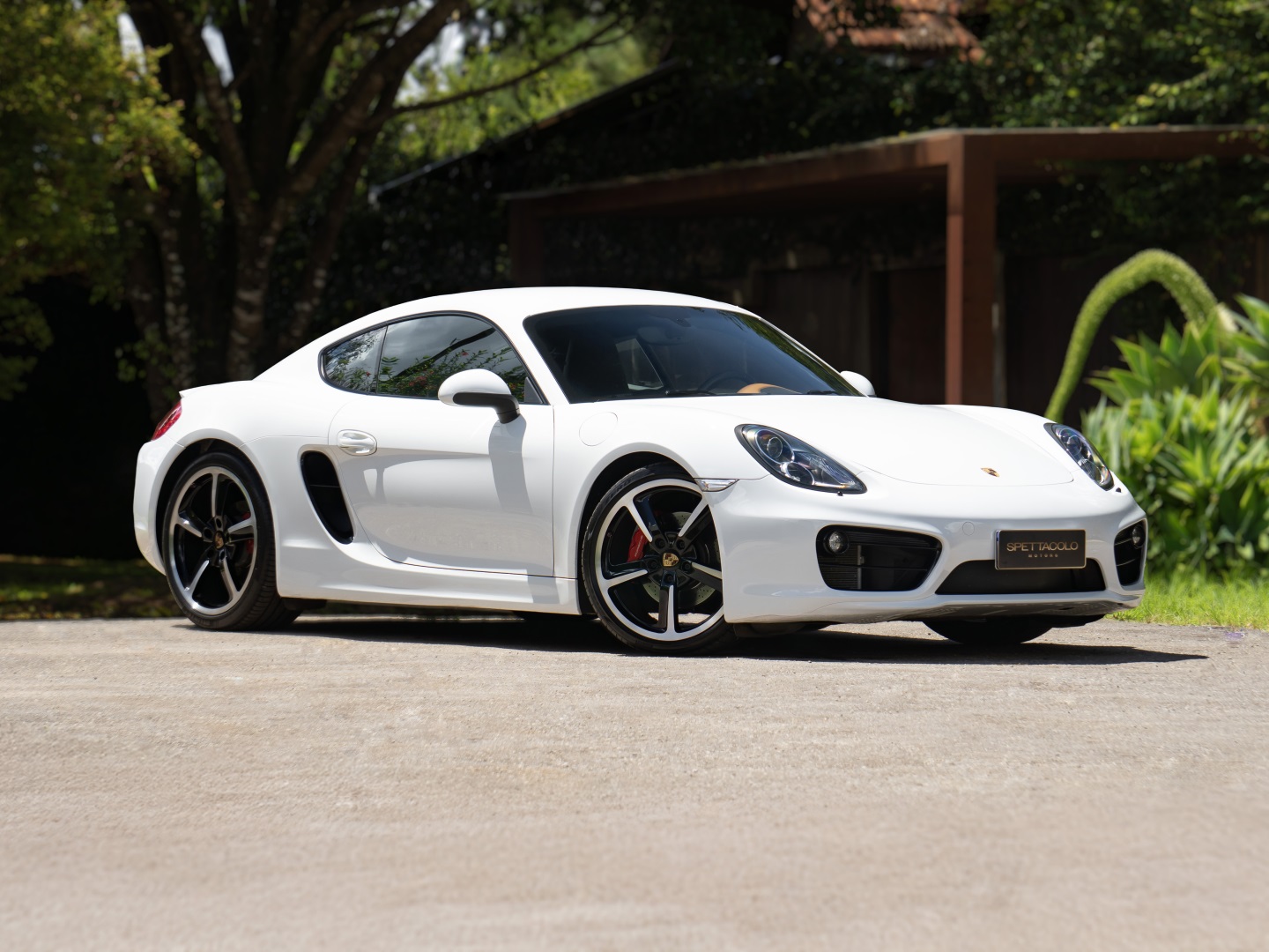 PORSCHE CAYMAN