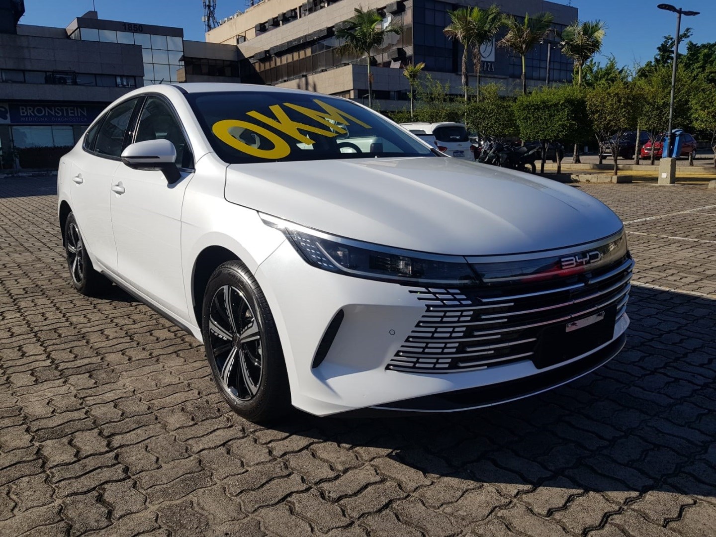 BYD KING