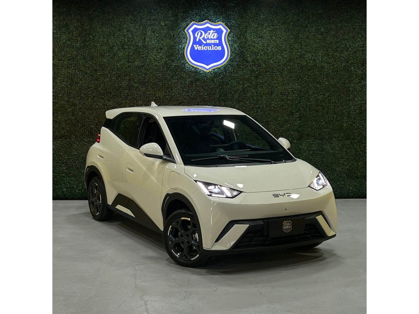 BYD DOLPHIN MINI