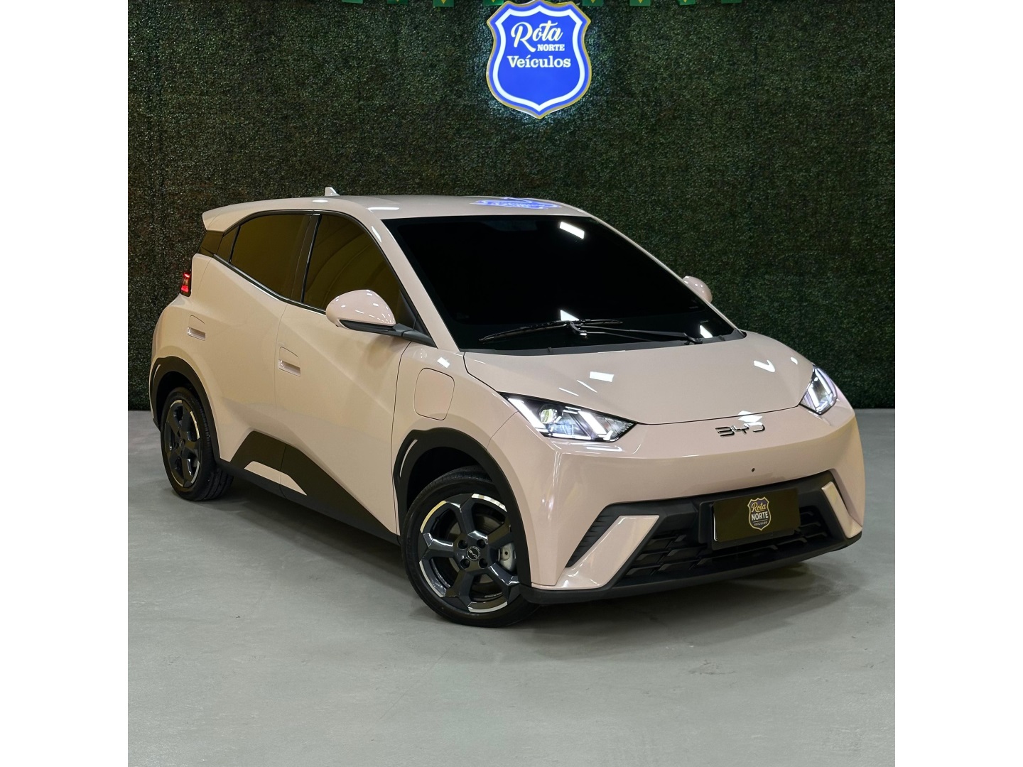 BYD DOLPHIN