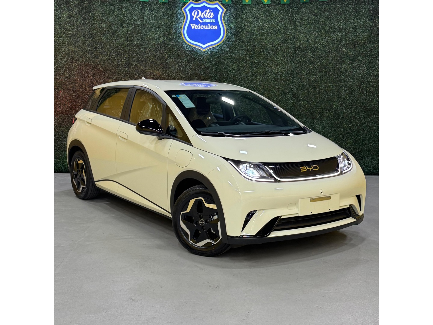 BYD DOLPHIN