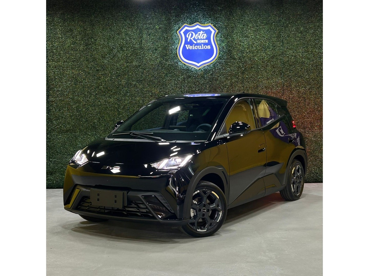 BYD DOLPHIN MINI