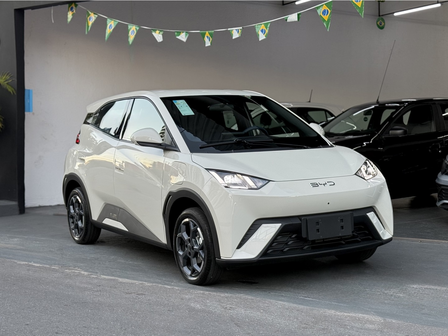 BYD DOLPHIN MINI