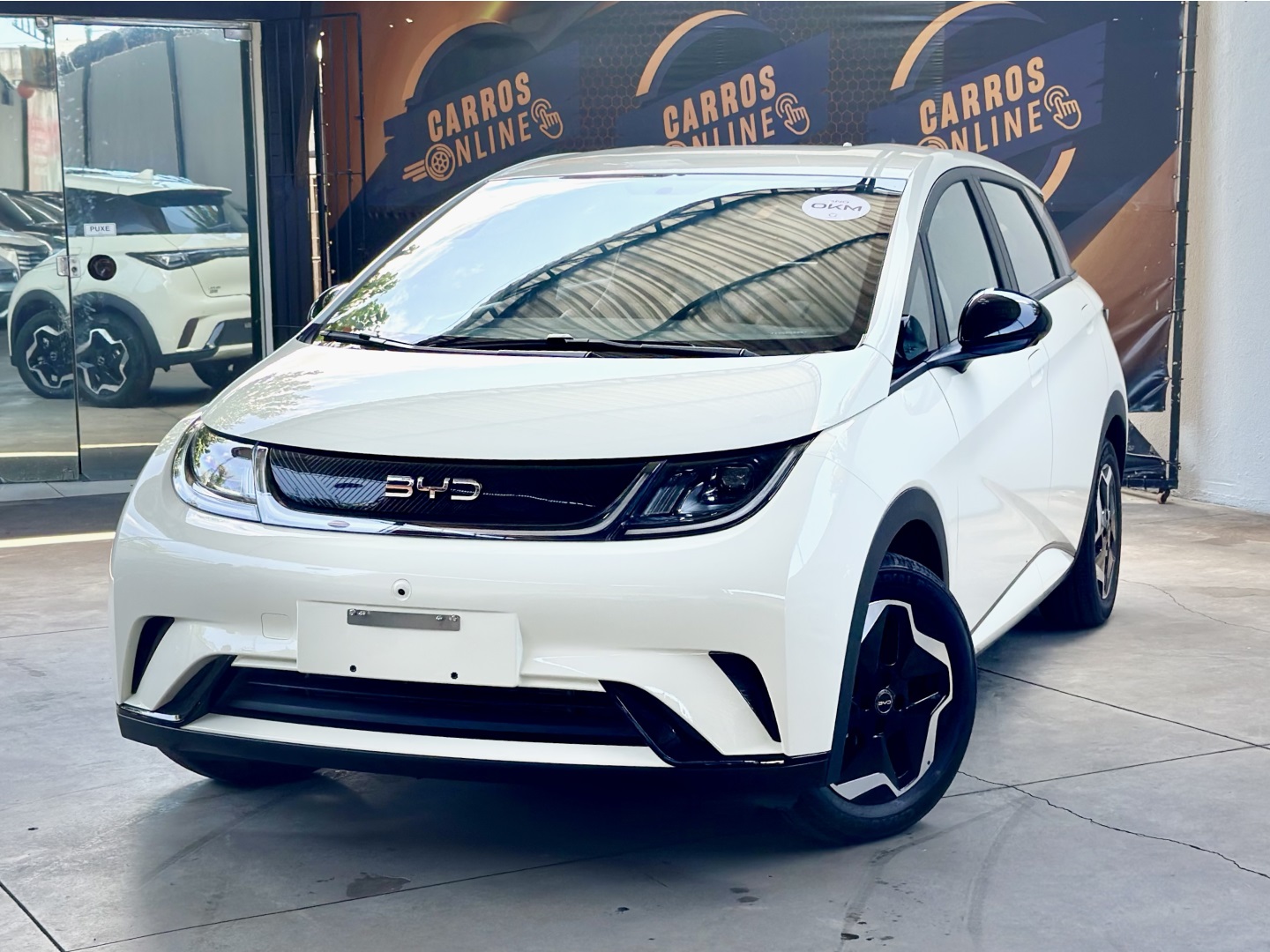 BYD DOLPHIN