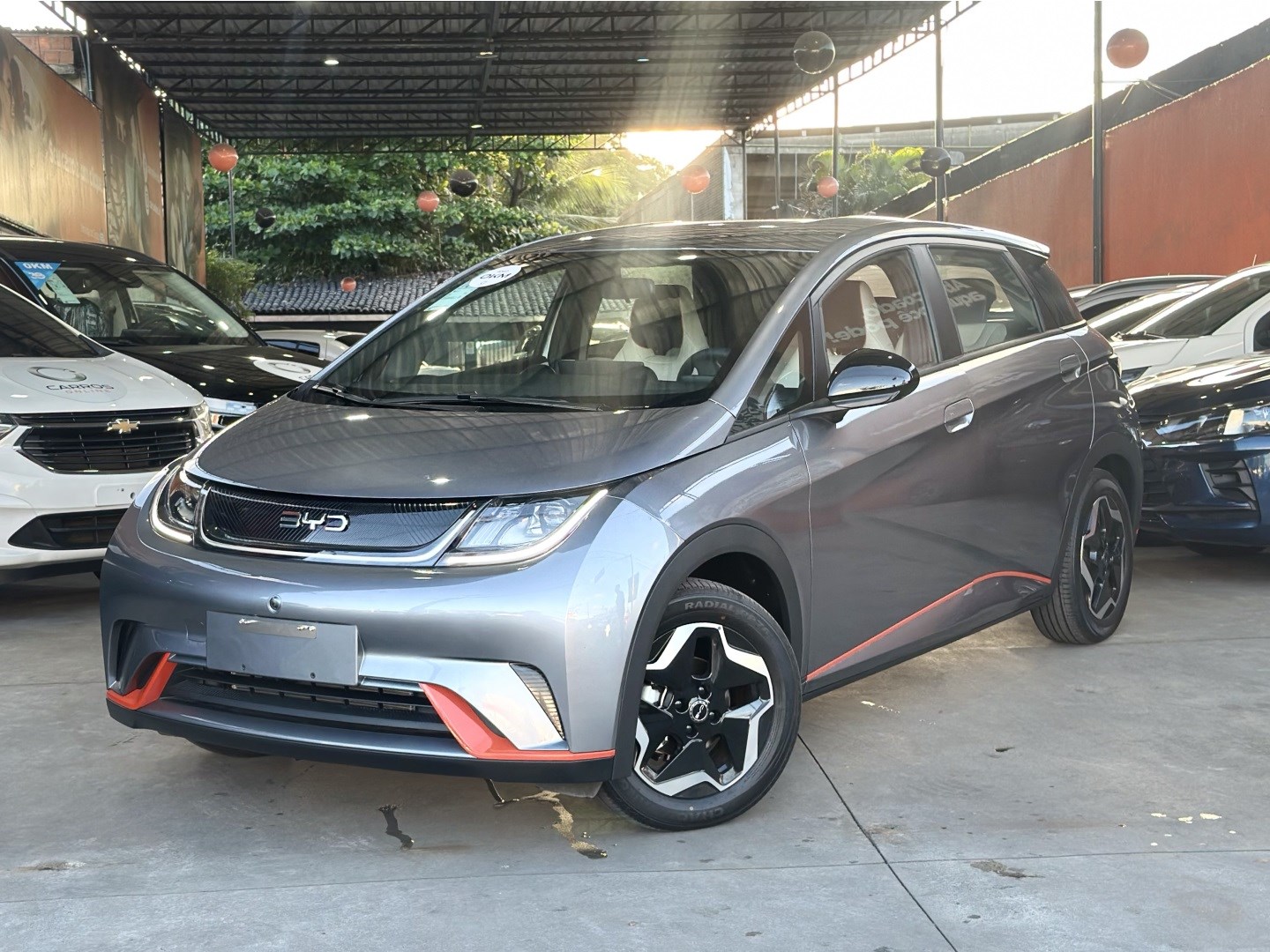 BYD DOLPHIN