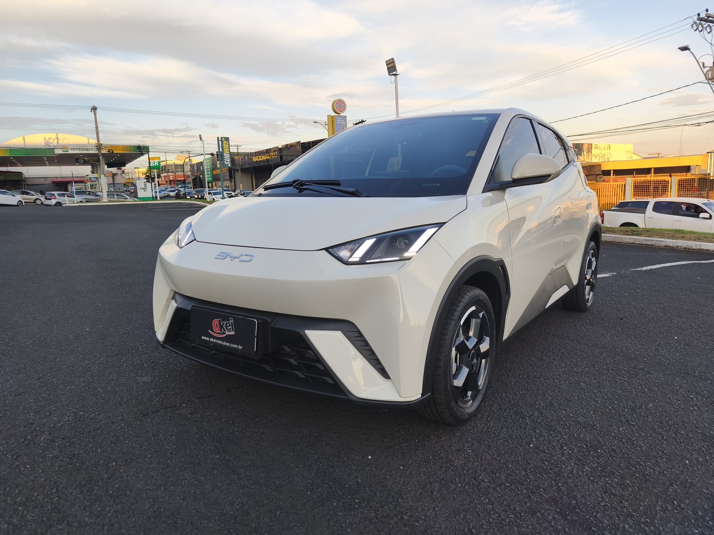 BYD DOLPHIN MINI GS EV