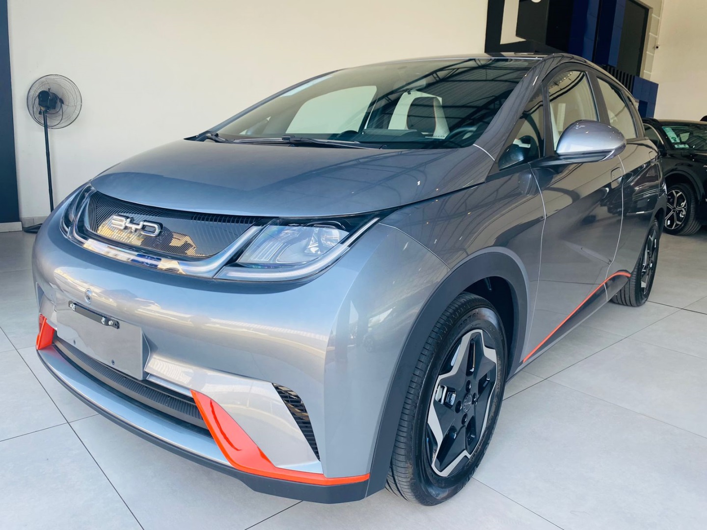 BYD DOLPHIN