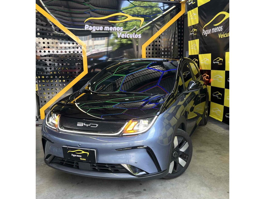 BYD DOLPHIN
