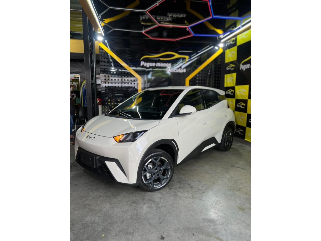 BYD DOLPHIN MINI