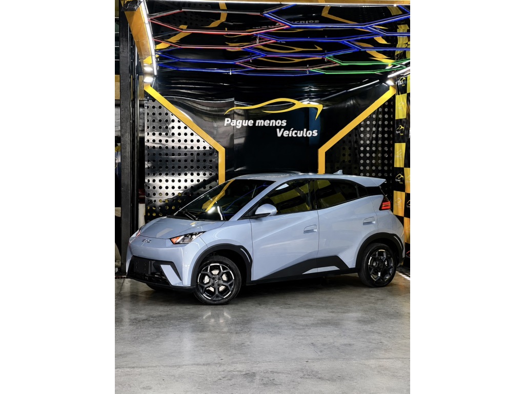 BYD DOLPHIN MINI