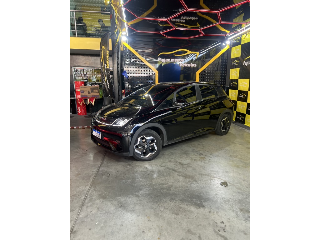 BYD DOLPHIN