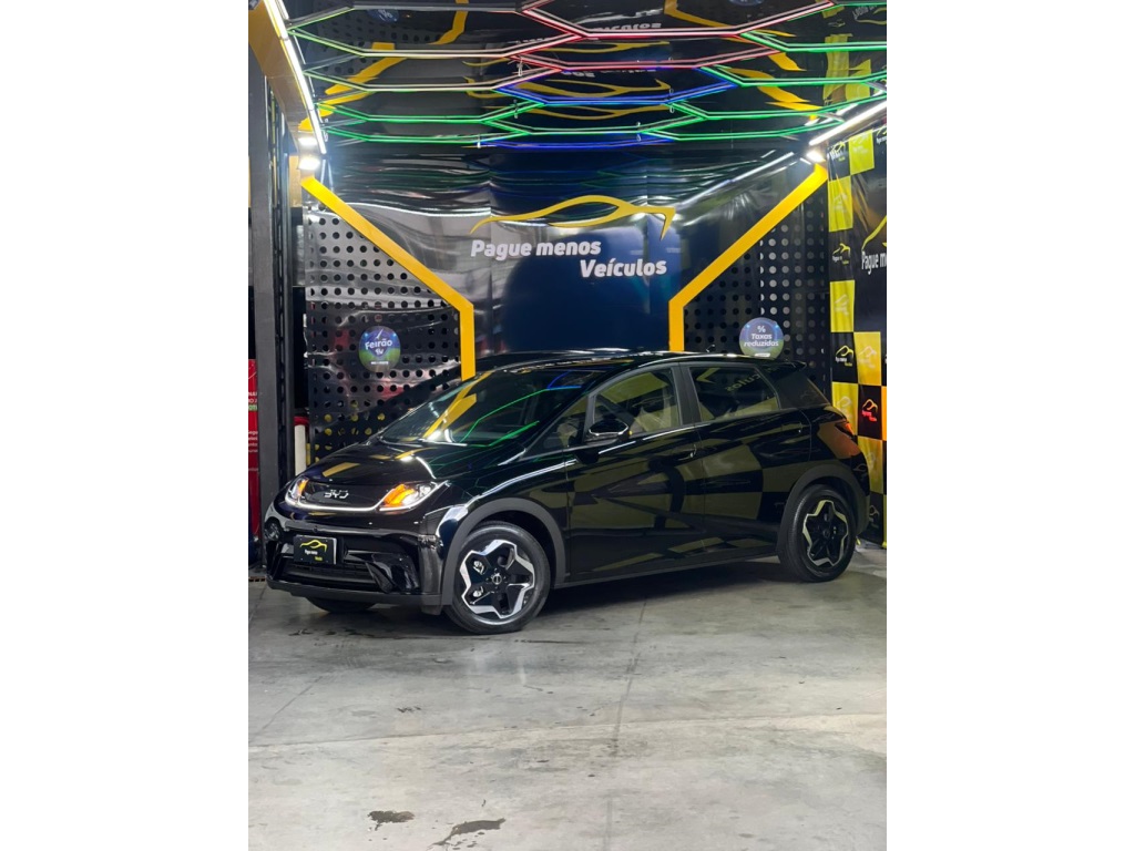 BYD DOLPHIN