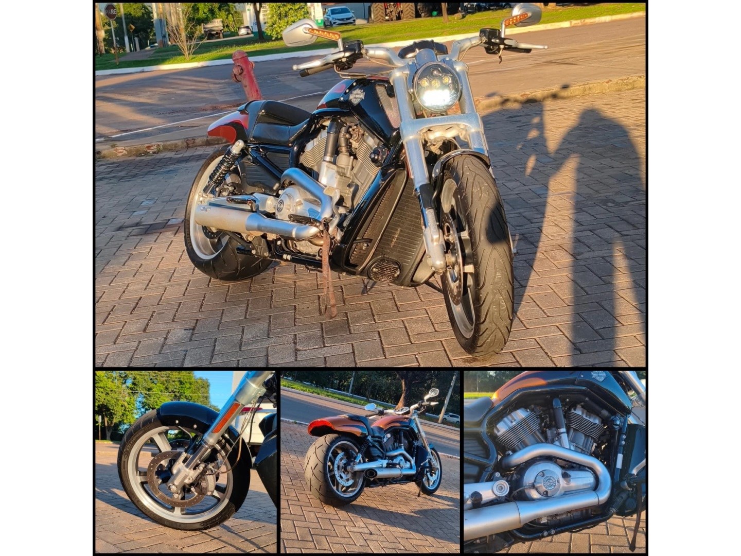 HARLEY-DAVIDSON V-ROD 1250CC MUSCLE VRSCF