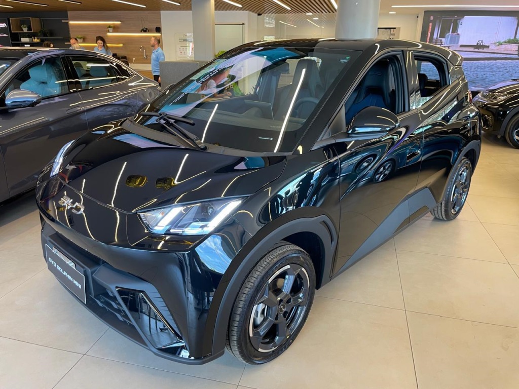BYD DOLPHIN MINI