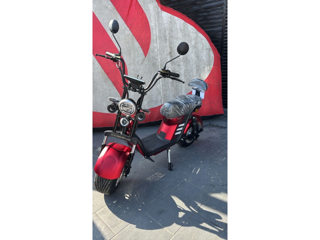 HAO ELETRIC MOTORS HARLEY 16