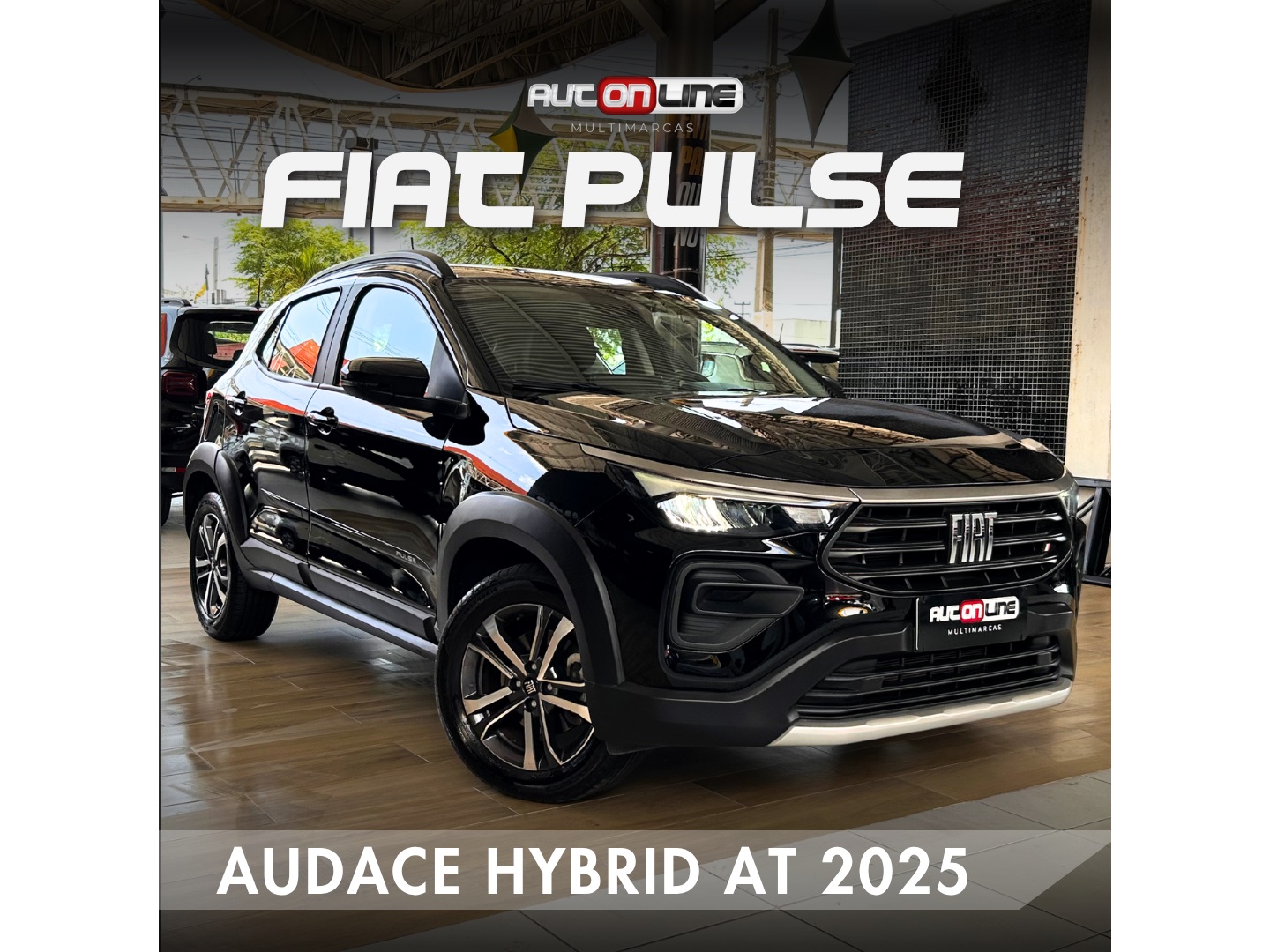 FIAT PULSE