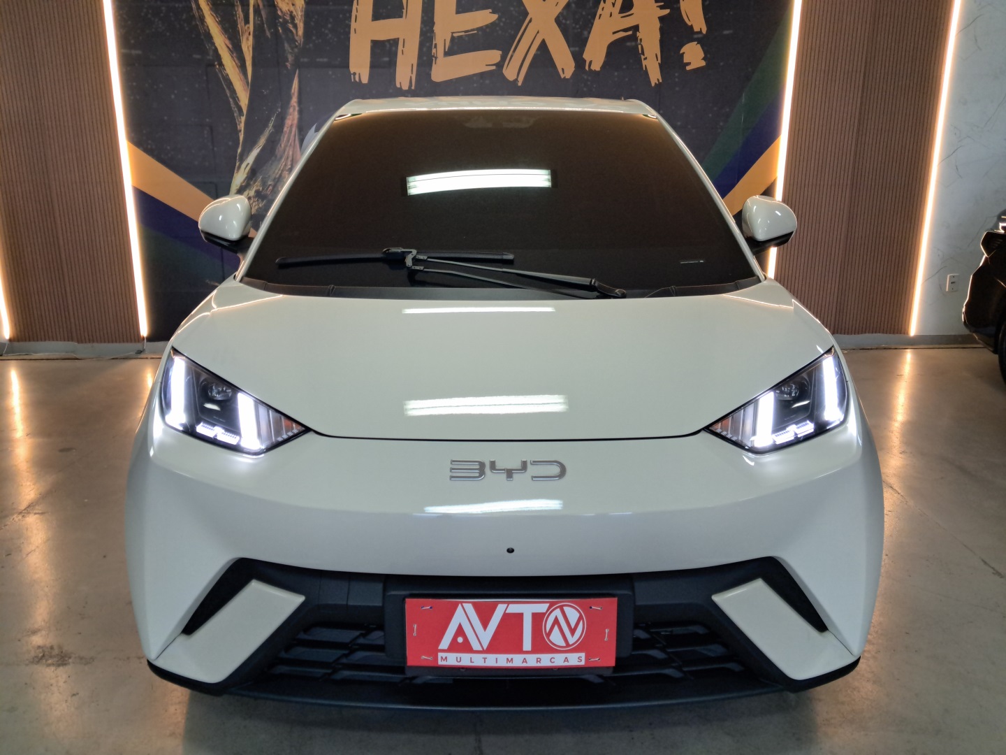 BYD DOLPHIN