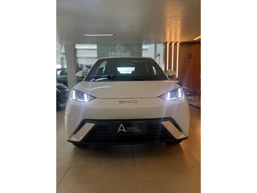 BYD DOLPHIN MINI 38 KM ELÉTRICO