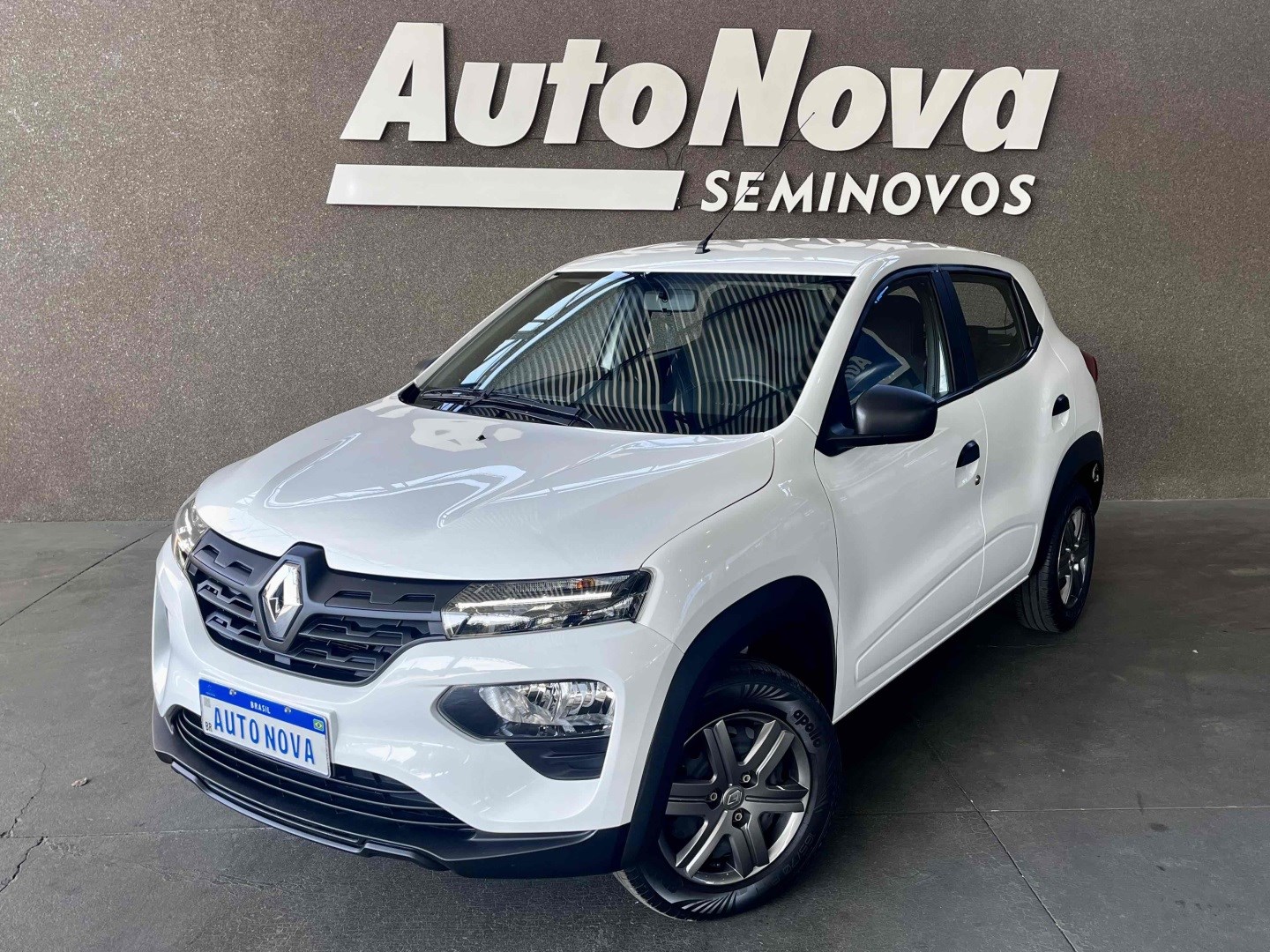 RENAULT KWID 1.0 12V SCE FLEX ZEN MANUAL