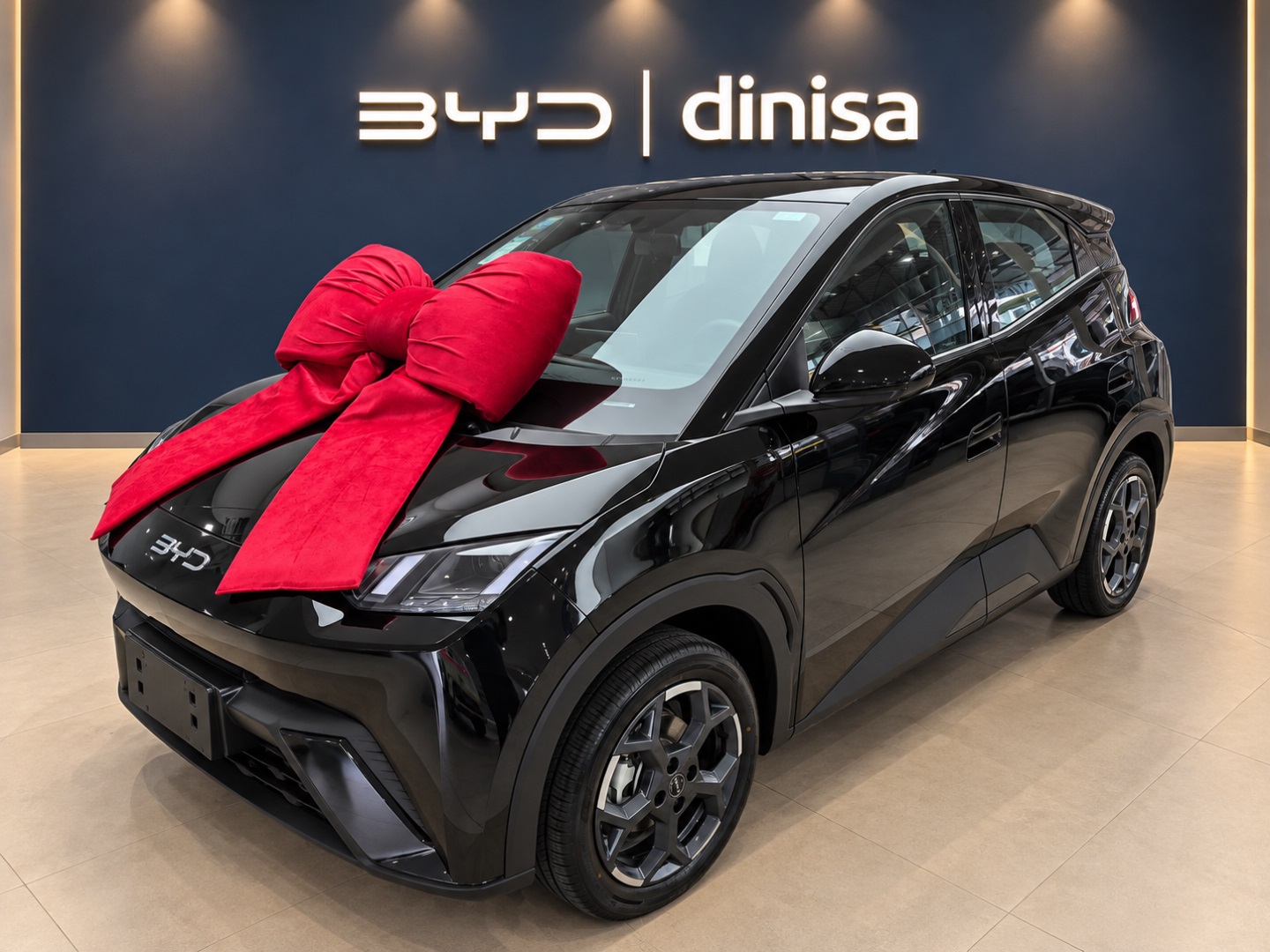 DOLPHIN MINI 38 KW ELÉTRICO GS