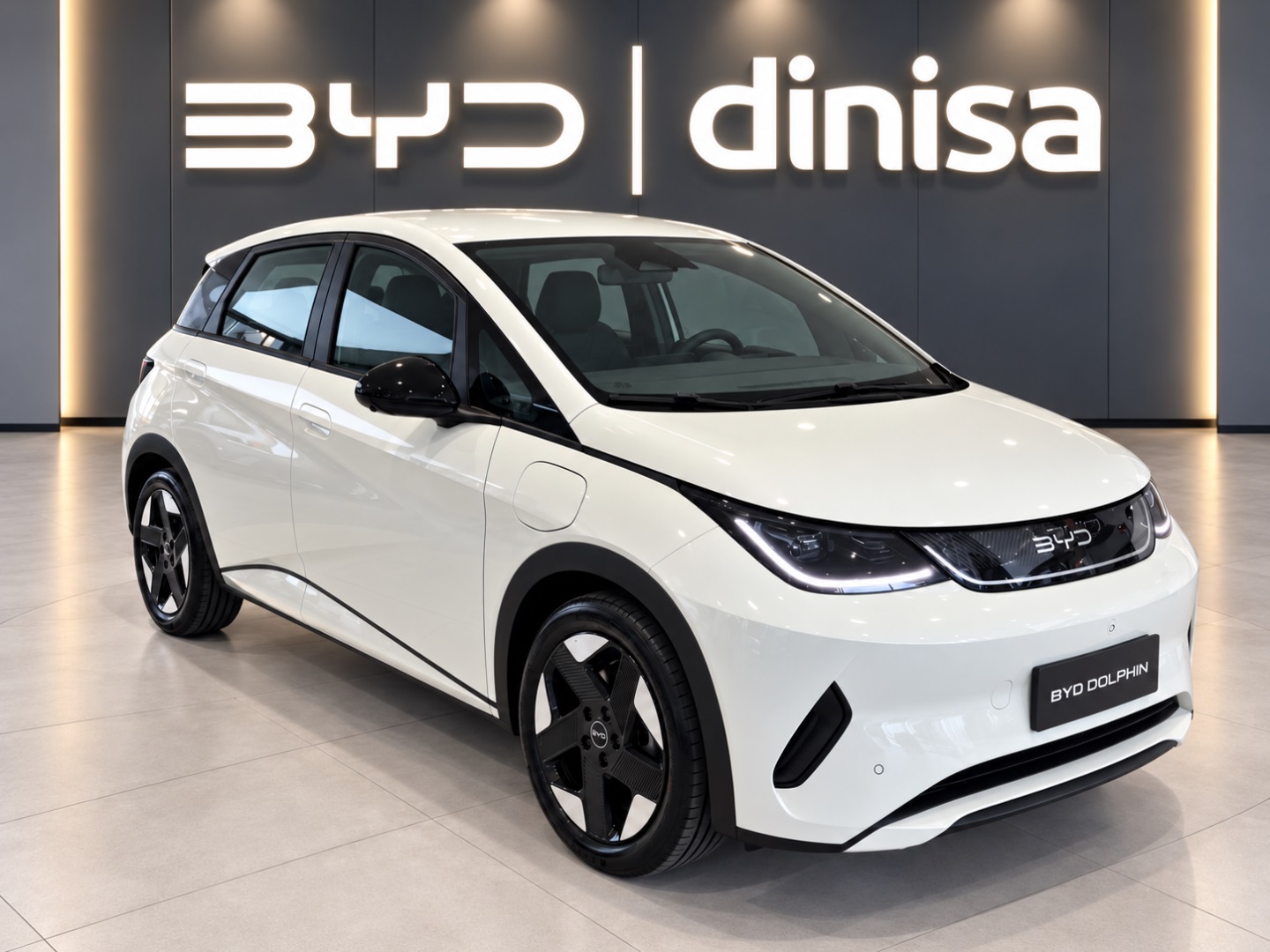 DOLPHIN 45,1 KW ELÉTRICO SE0