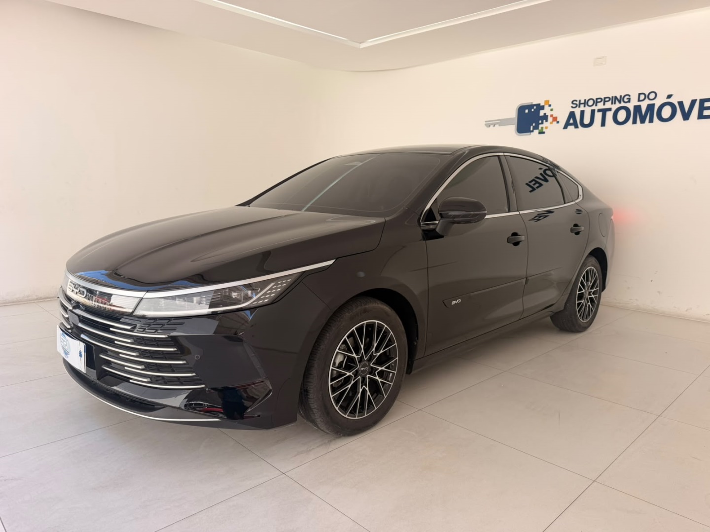 BYD KING