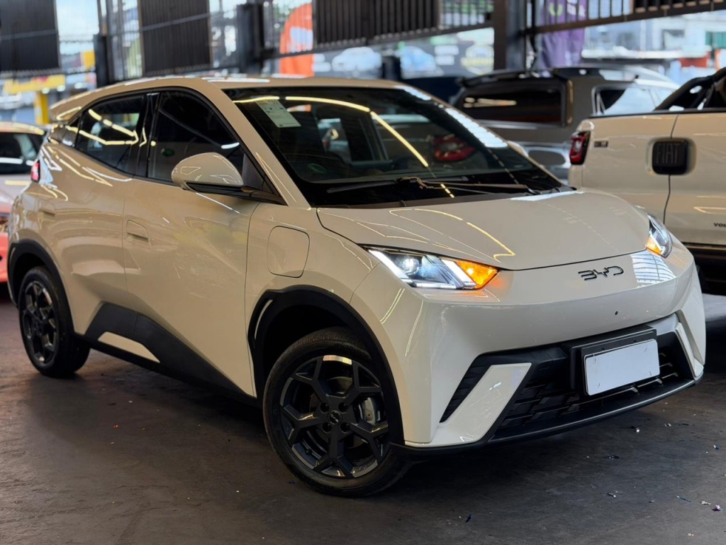 BYD DOLPHIN MINI