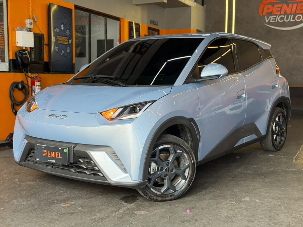 BYD DOLPHIN MINI