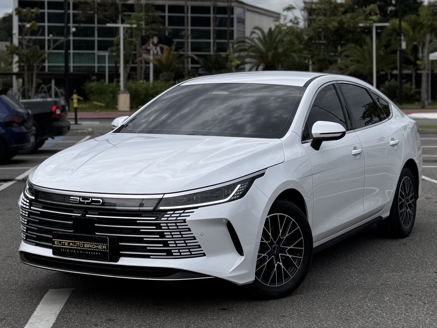 BYD KING